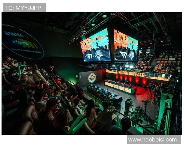 全球挑战赛中RNG队伍意识表现分析与评价探讨实时数据